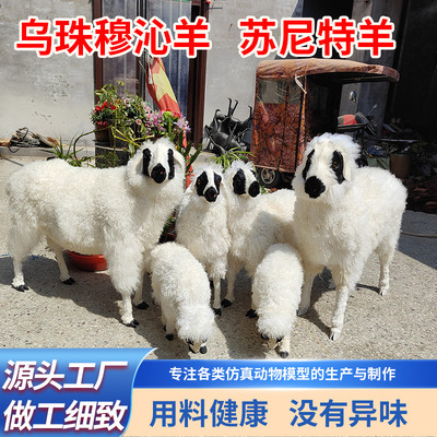 仿真科尔沁绵羊模型乌珠穆沁羊苏尼特羊湖羊小尾寒羊巴音布鲁克羊
