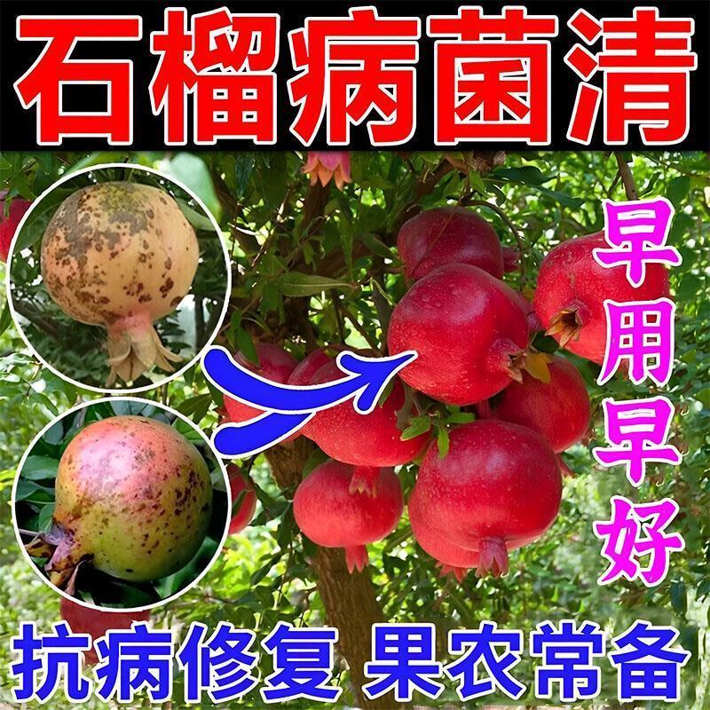 石榴树专用药治疗干腐褐斑黑斑炭狙病防裂果杀菌剂果树膨果专用肥