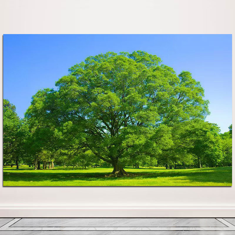 森林树木画蓝天大树自然风景装饰画挂画绿色护眼书房卧室玄关壁画图片