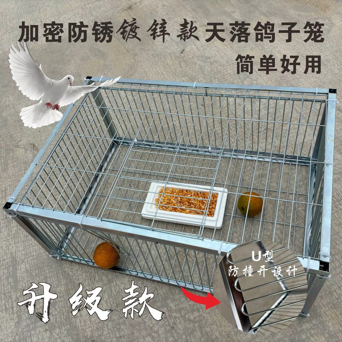全自动只进不出门天落网笼鸟户外收鸽笼神器鸽子抓撞门笼新款厂家图片
