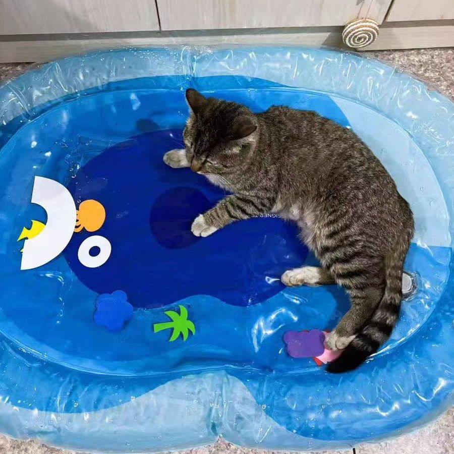 猫咪水床宠物注水冰垫冰窝夏季猫窝凉席垫夏天降温睡觉用！！！,宠物/宠物食品及用品,猫狗垫子,淘宝优惠券,粉丝福利购,淘宝优惠卷