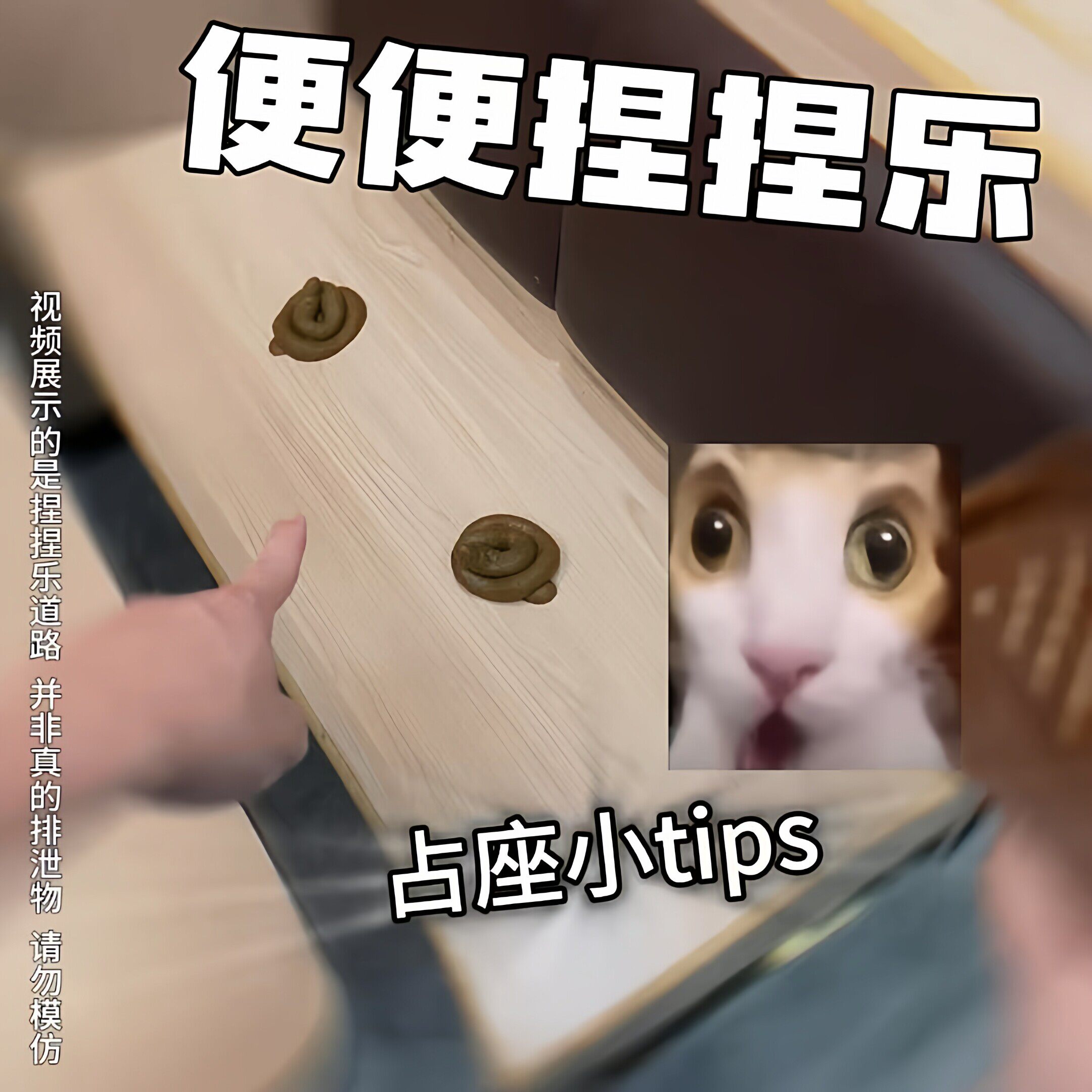 便便捏捏乐创意愚人节整蛊同学仿真大便发泄玩具搞怪小玩意送朋友
