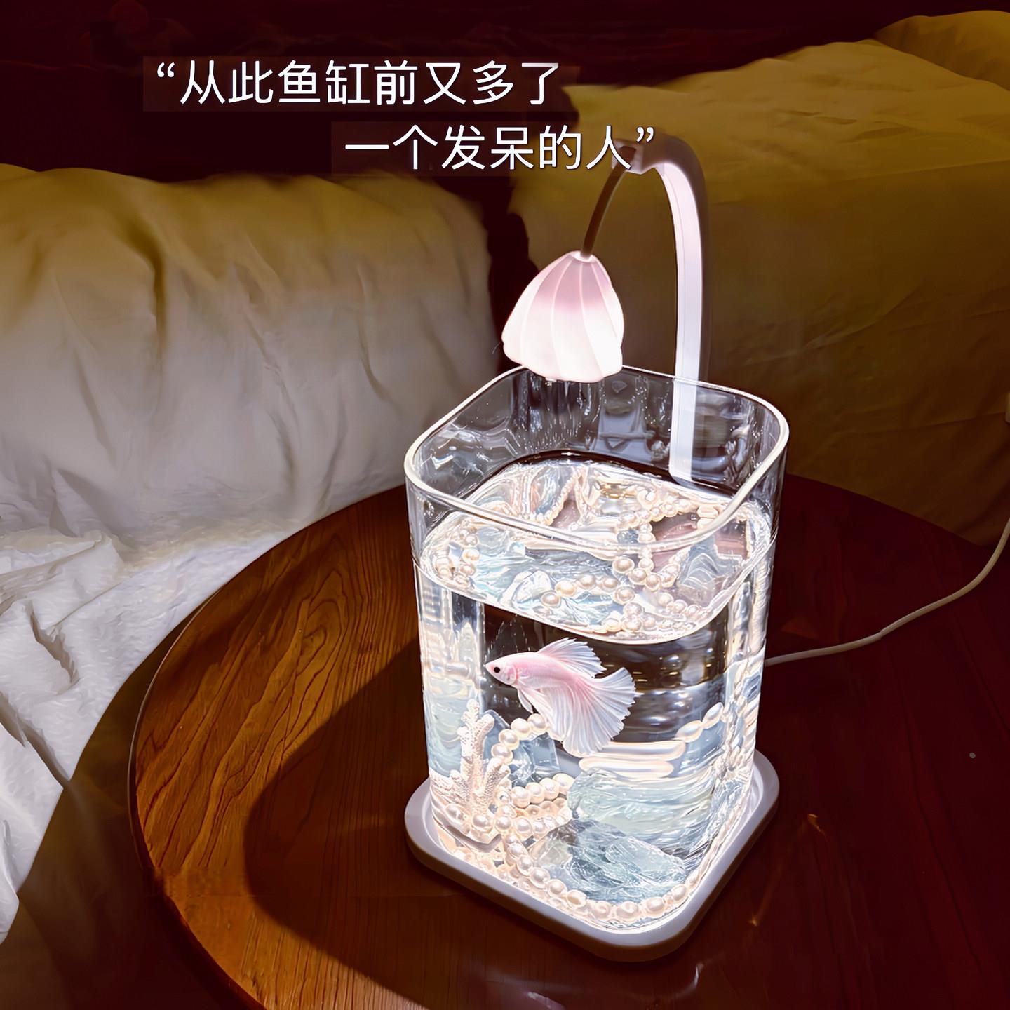 桌面摆件鱼缸小型桌面鱼缸上盖顶盖带灯斗鱼缸小夜灯创意小众礼物