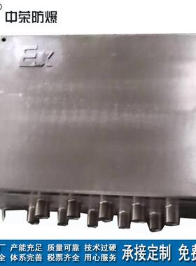 粉尘防爆电气控制箱不锈钢增安配电接线箱资质全直销出货快