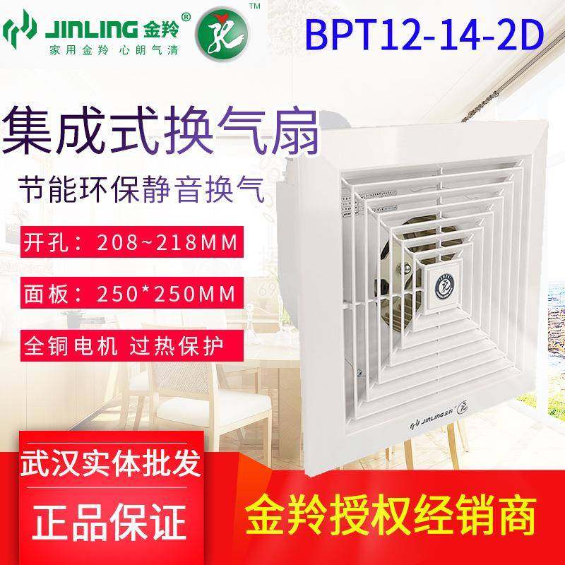 金羚8寸排气扇换气扇排风扇卫生间厨房吸顶式抽风机BPT12-14-2D