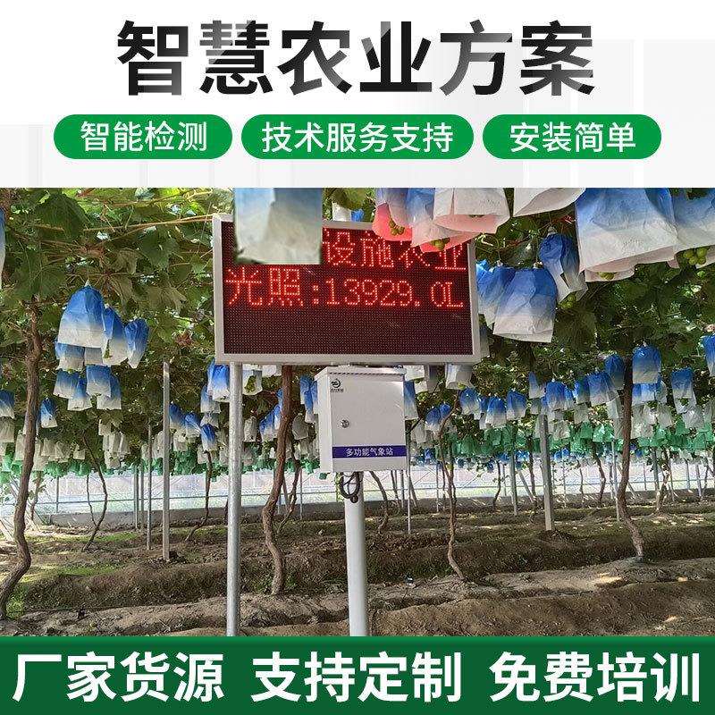 花卉温室有机蔬菜大棚智慧农业方案设计土壤墒情检测水肥一体方案
