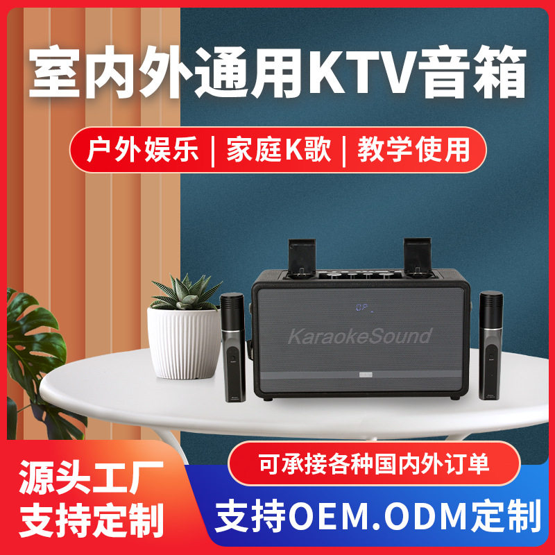 W450S移动KTV音箱内置双无线双话筒户外K歌娱乐音箱带OTG直播声卡