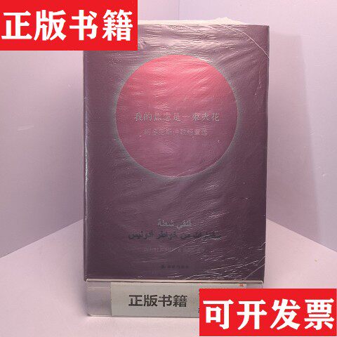 【正版现货】的焦虑是一束火花：阿多尼斯诗歌短章选[叙利亚]阿多尼斯著；薛庆国译译林出版社