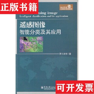 遥感图像智能分类及其应用罗小波著电子工业出版 现货 社 正版