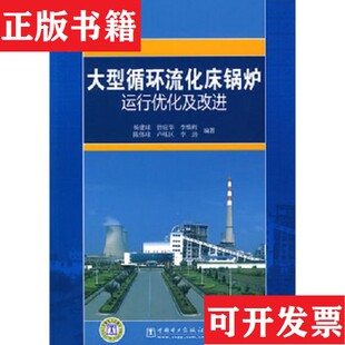 【正版现货】大型循环流化床锅炉运行优化及改进杨建球著中国电力出版社