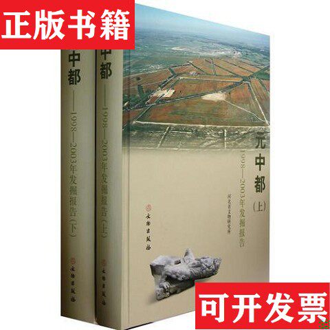 【正版现货】元中都 1998-2003年发掘报告河北省文物研究所编文物出版社