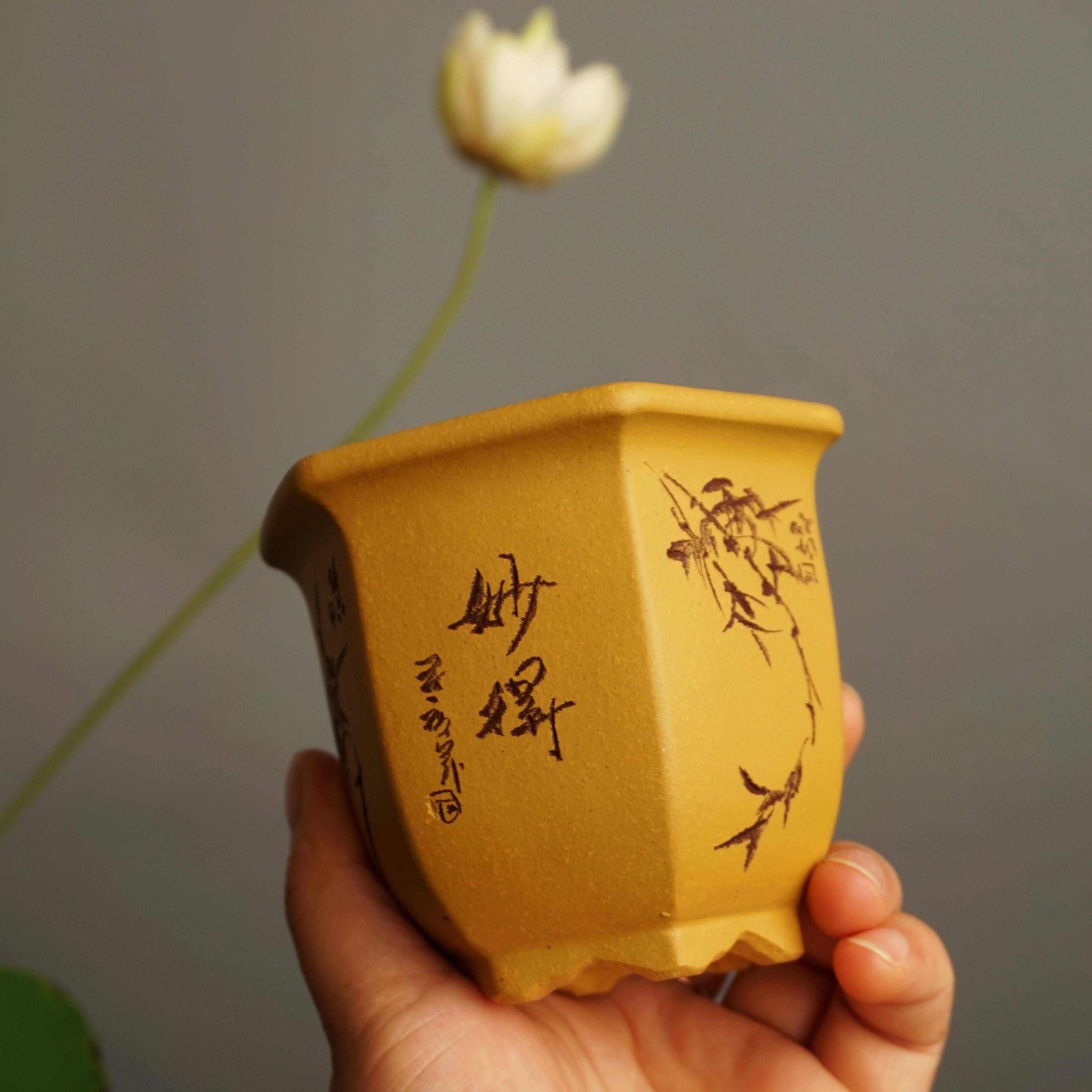玲珑 宜兴原矿紫砂花盆 菖蒲 盆景 苏兵手工刻绘黄金段泥六方高桶