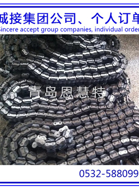 DBC东宝防锈滚子80-1 100-2 120-3单片飞轮链条工业流水线链条09