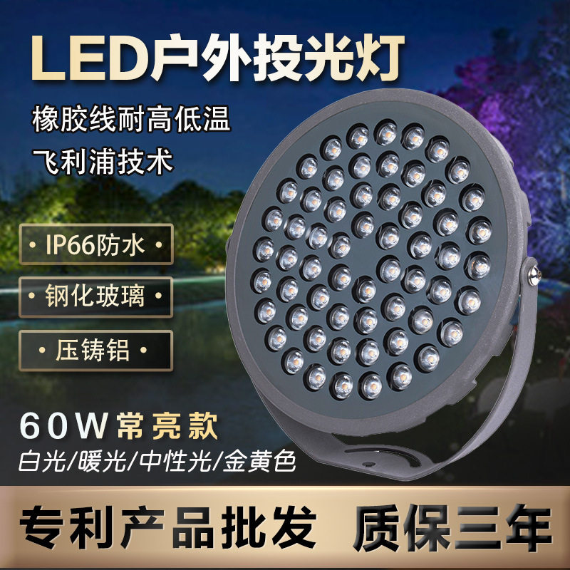 60W户外防水LED远射投光灯