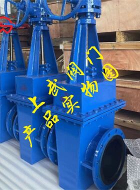 Z42J手动双面密封衬胶闸阀