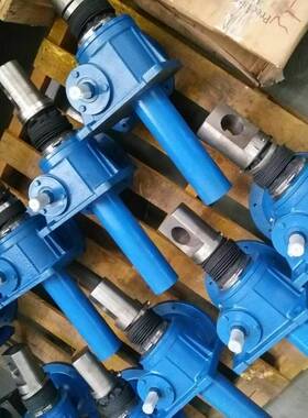 供应升降机 DSWL20T蜗轮丝杆升降机 传邦上海传动设备