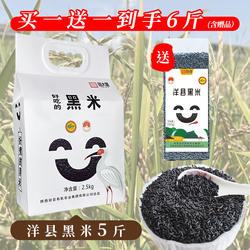 陕西洋县黑米2025年新米农家黑米杂粮正宗周大黑官方长粒黑米