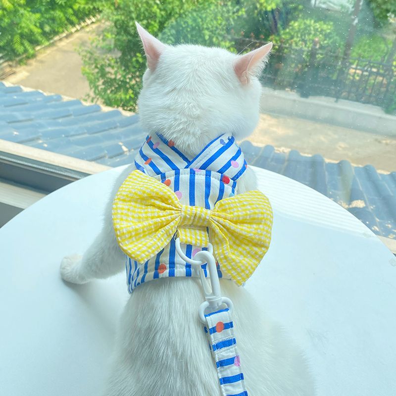 日韩猫咪胸背带宠物衣服撞色蝴蝶结牵引绳遛猫绳猫绳子牵引猫夏季