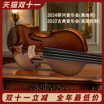 菲奥里尼小提琴手工欧料小提琴