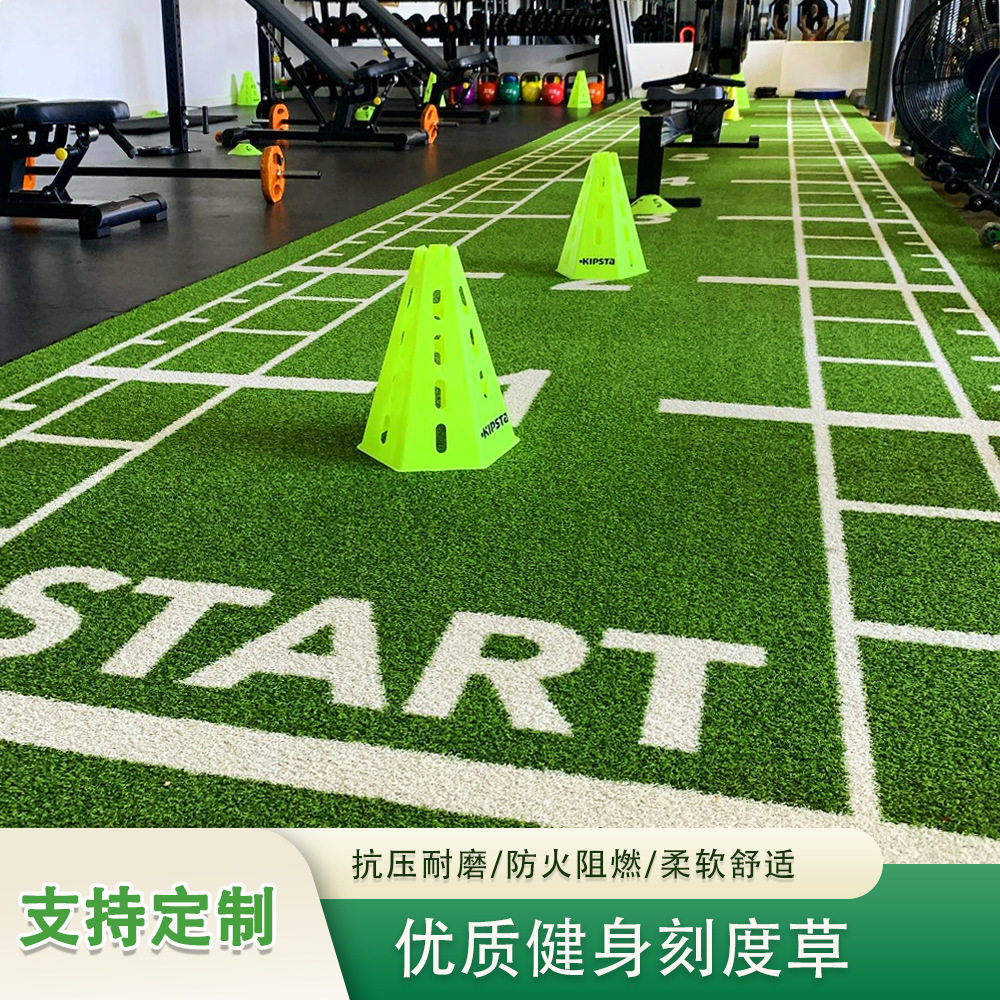 国琴室内健身房草坪地毯功能性减震草坪刻度草坪图案仿真草