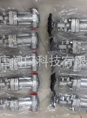 WZ61W-16P/RL不锈钢波纹管承插焊闸阀 锻钢波纹管闸阀 F304/F316L