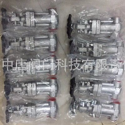 WZ61W-16P/RL不锈钢波纹管承插焊闸阀 锻钢波纹管闸阀 F304/F316L