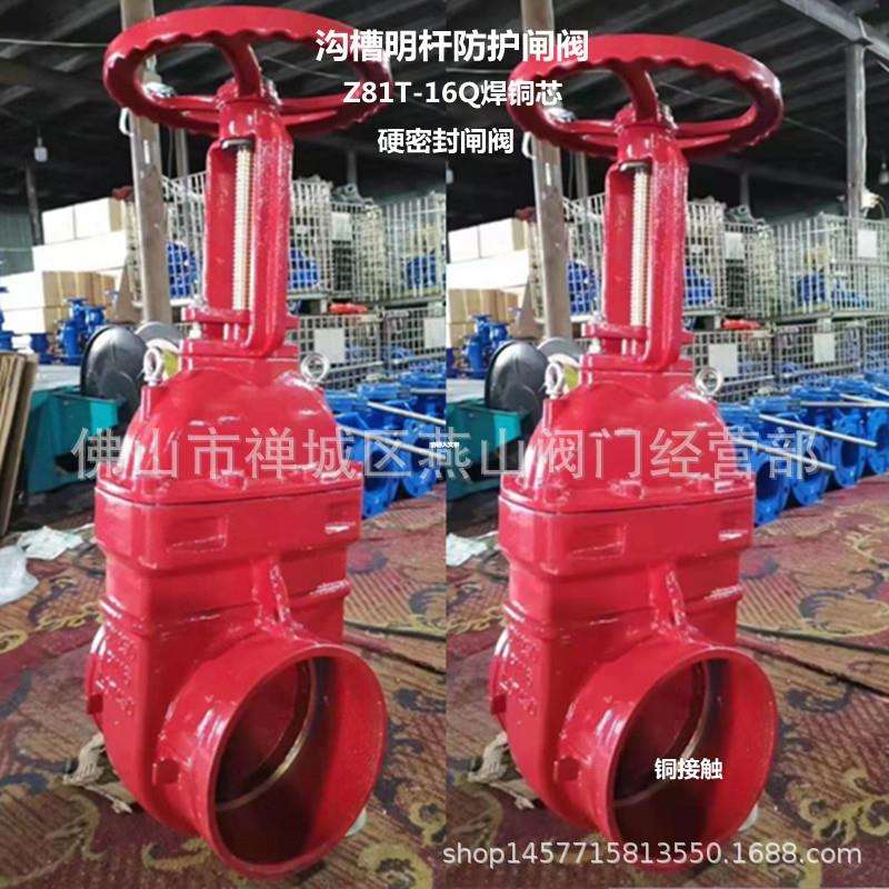 供应沟槽明杆防护闸阀Z81T-16Q铜芯球墨铸铁硬密封闸阀DN50-DN300