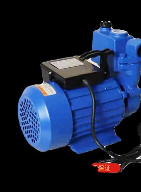 1500W水泵增压养殖场喷雾降温z浇水设备扬长65使用压力10公斤内