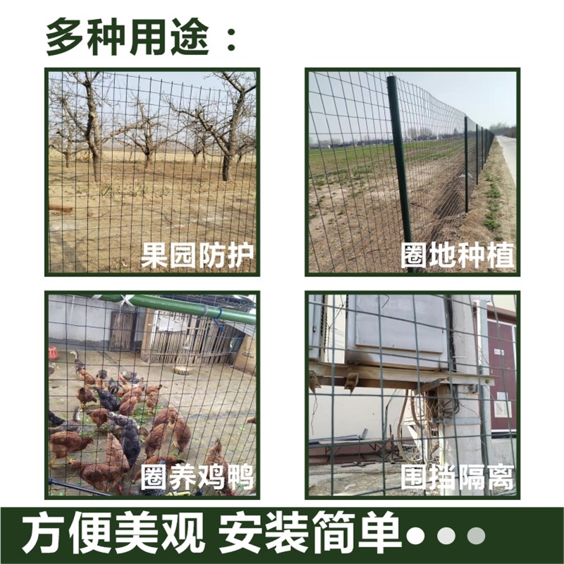 硬塑荷兰网铁丝网围栏网果园圈地隔离护栏养鸡栅栏户X外养殖钢丝