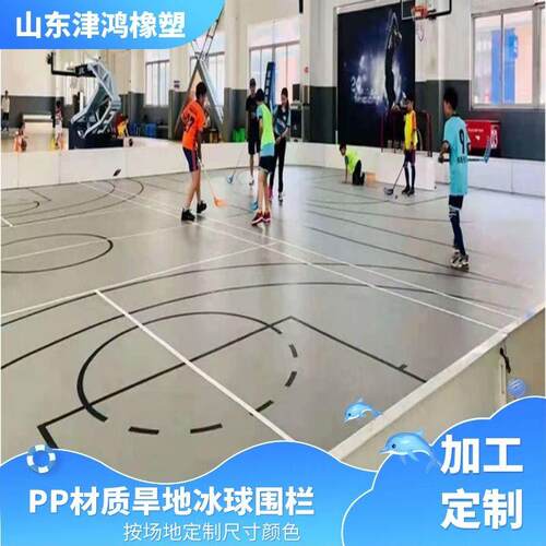 津鸿PP材质便于拼接安装可印logo聚丙烯曲棍球轮滑场乐福球围栏板
