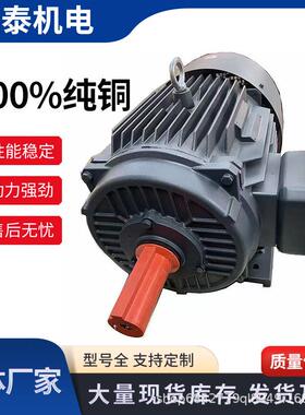 YE3全铜三相异步电机380V国标高效节能YE3-80M2-4