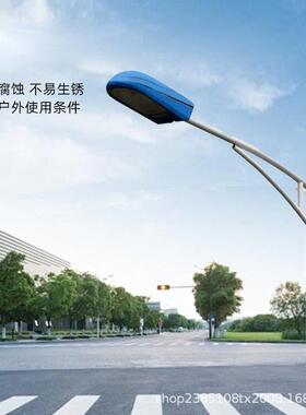 厂家单双臂路灯工程6米10米防水户外市政道路照明灯新农村led灯