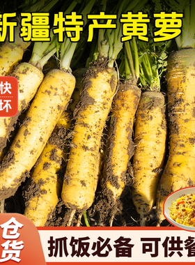 新疆黄萝卜手抓饭配料黄色胡萝卜餐饮直供新货农家自种糖心胡萝卜