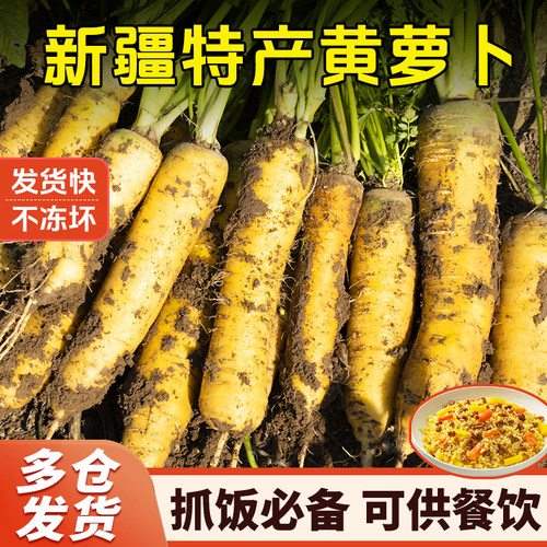 新疆特产营养品黄心萝卜