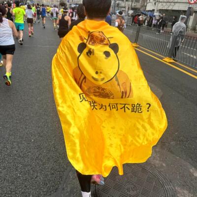 皇帝龙图表情黄色披风皇