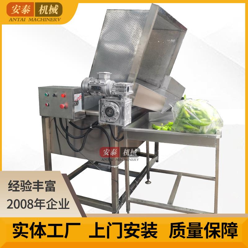 小型气泡清洗机辣椒香菇清洗机青菜自动清洗设备按钮控制自动出料