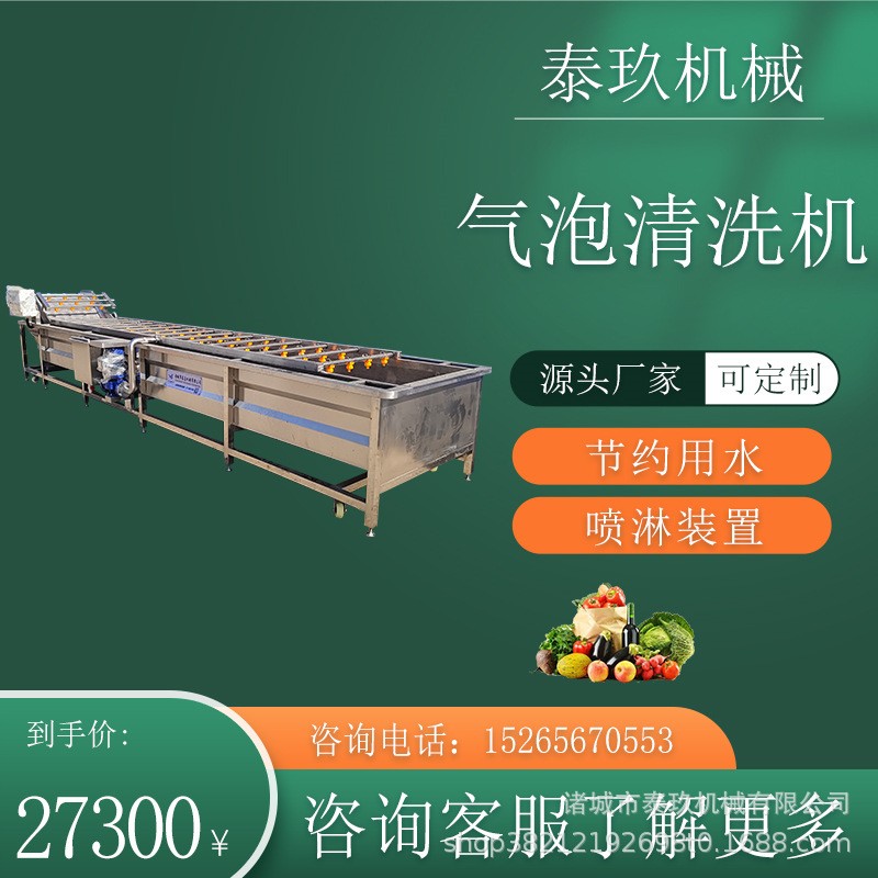 圣女果清洗机酱菜脱盐清洗设备桑芽菜清洗加工设备菌类清洗去杂机