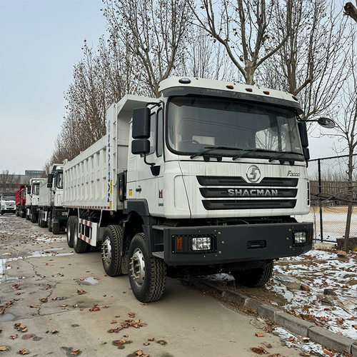 陕汽德龙F3000自卸车出口 前四后八矿用工程车 371马力码头运输车