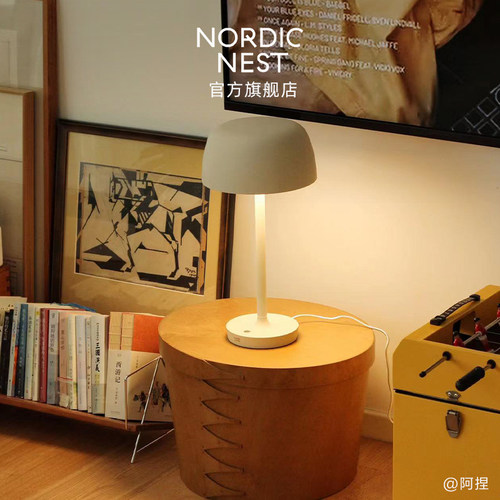 SCANDI LIVING Halo系列台灯床头主卧北欧现代简约高级感装饰客厅