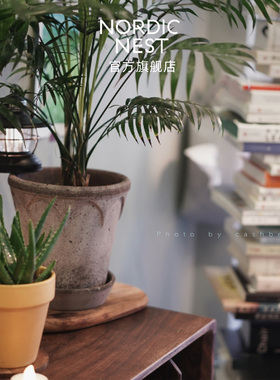 现货丹麦宝格仕bergs potter西蒙娜绿植花卉室内陶盆花盆进口家居