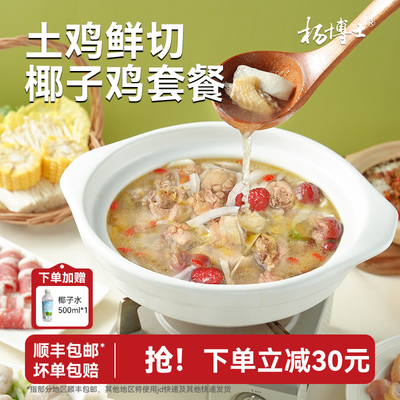 正宗椰子鸡火锅鲜切土鸡海南风味