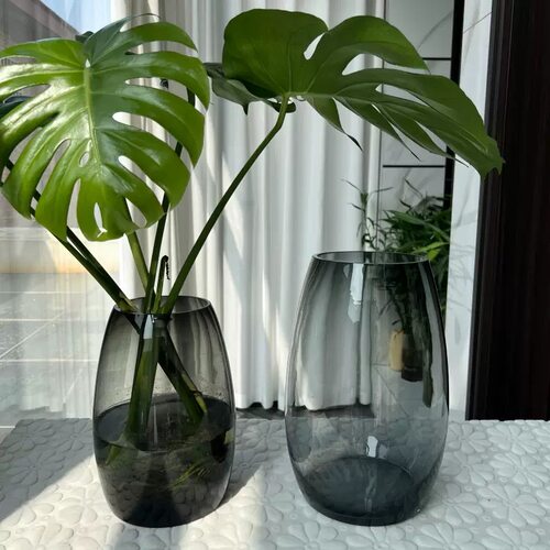 高级感花瓶玻璃透明水养插花
