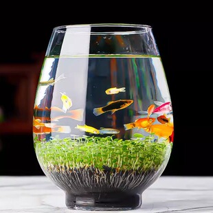 高透创意玻璃鱼缸小型家用碗莲盆水仙盆绿萝水培植物花瓶大口径