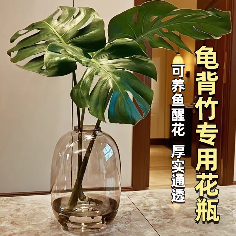 【加大号】龟背竹玻璃花瓶简约水培器皿马醉木银柳插花客厅摆件高