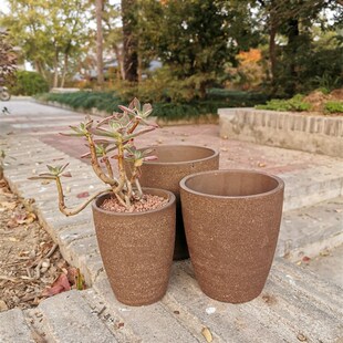 破损补发粗砂直筒透气粗陶法师绿植专用陶罐陶T瓷大老桩花盆包邮