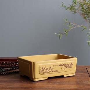 紫砂花盆景松柏多肉文竹米u竹朱竹姬月季虎耳苔藓手工段泥奎面长