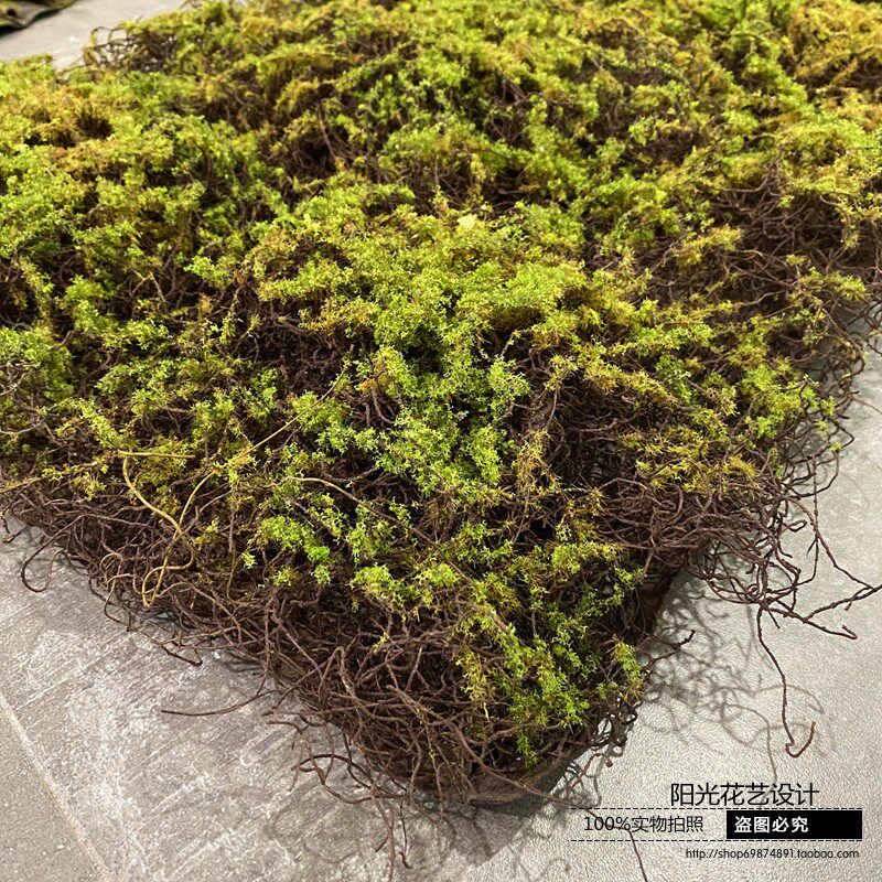 仿真草坪a 树皮苔藓 青苔植物墙装饰草坪造景背景草皮假绿植墙装