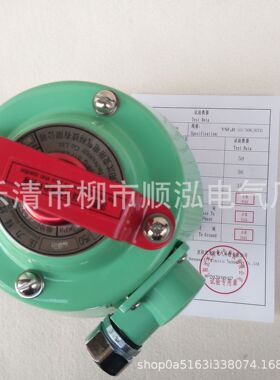 沈变所变压器压力释放阀 YSF4II-55/50KJBTH  电力阀门装置