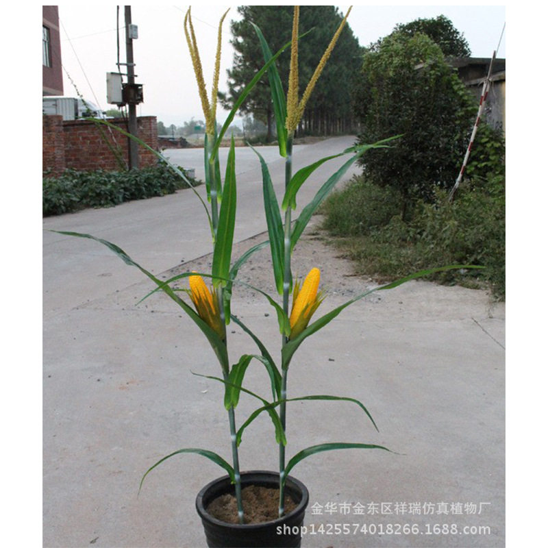 仿真玉米叶秋色玉米棒子假农作植物假树叶工程博物馆布景拍摄批发