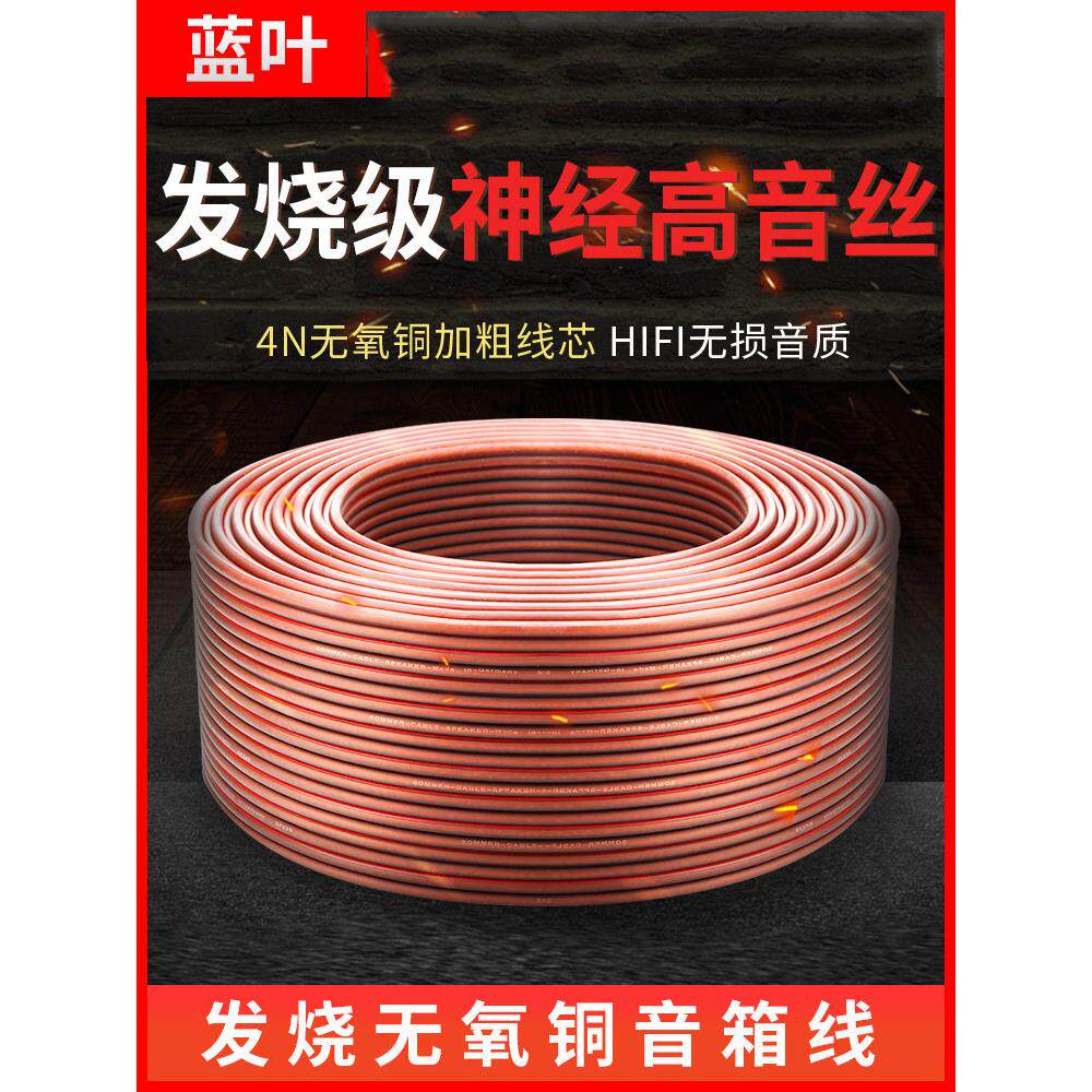 蓝叶专业音响线材发烧纯铜通用喇叭线汽车功放改装音频线音箱线